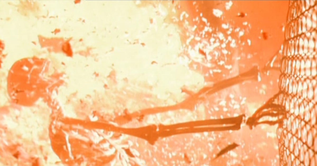 The Nuclear Explosion Scene in Terminator 2 Still Haunts Me After More Than  20 Years