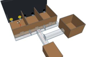 3D model of experimental apparatus. A bee is doing an experimental trial. Its route from the nest box is traced in red through removable plastic doors. In the first experimental compartment the stimuli are displayed on the monitor and plastic chips hold the associated solution (sugar or bitter quinine during training and water during test). The first attempt at feeding from one of the chips is recorded as a choice of stimulus. The bee will continue to the next two compartments for the next trials so that each foraging bout includes three trials.