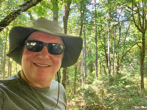 Three pictures of tall, shady trees in the forest with a man wearing sun glasses and shade hat