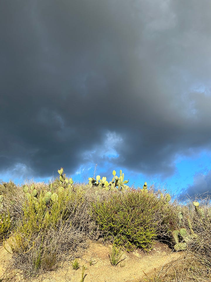 A downpour of rain just beyond the other ridge of the canyon, completely blocking the views from the hike; two photos of the views along the path up with dark rain clouds, and the paved path along the opposite ridge.