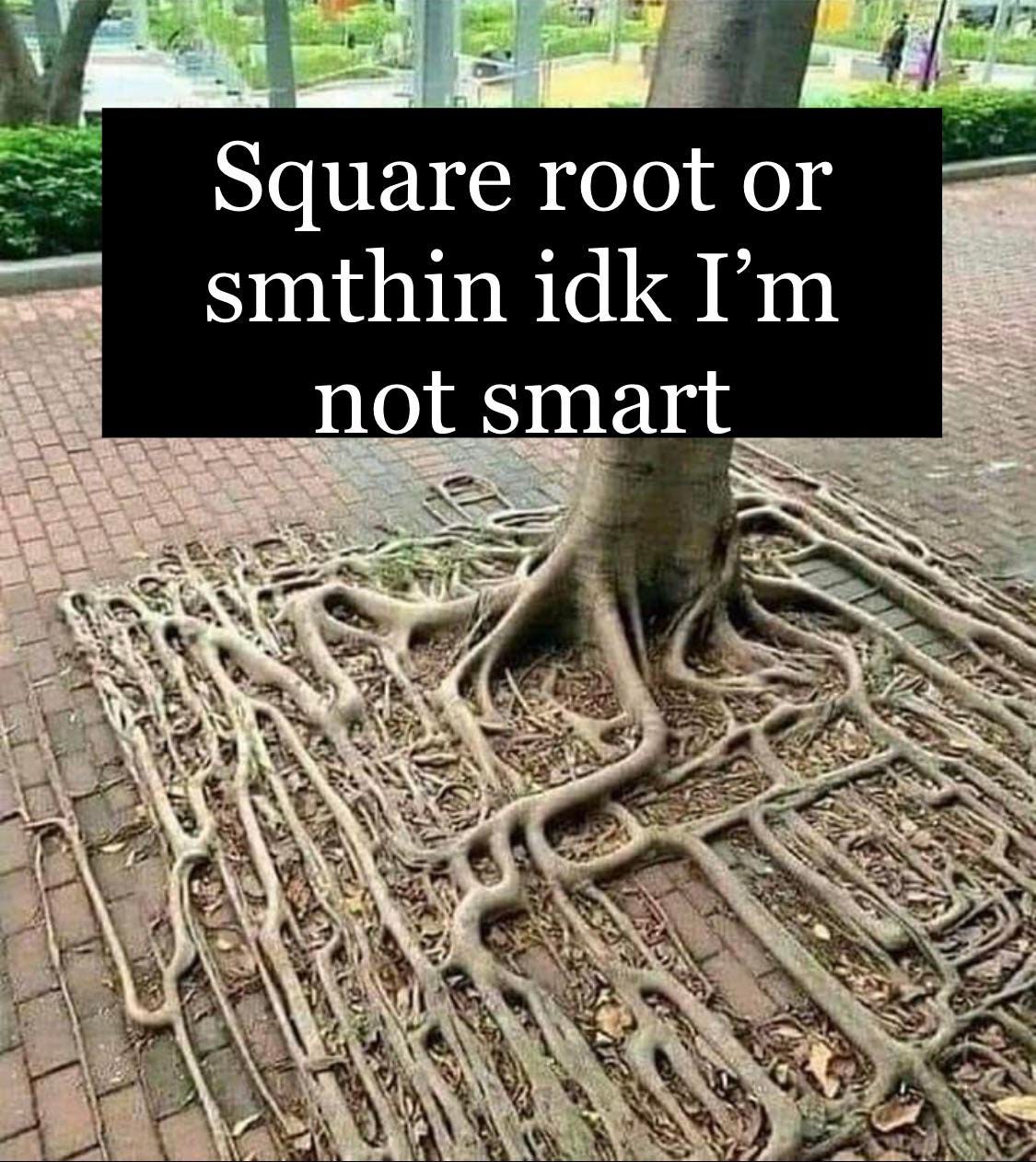 My little cousin saw this photo on the internet and tried her hand at a meme,  since she's learning square roots now. : Second Language Strategies