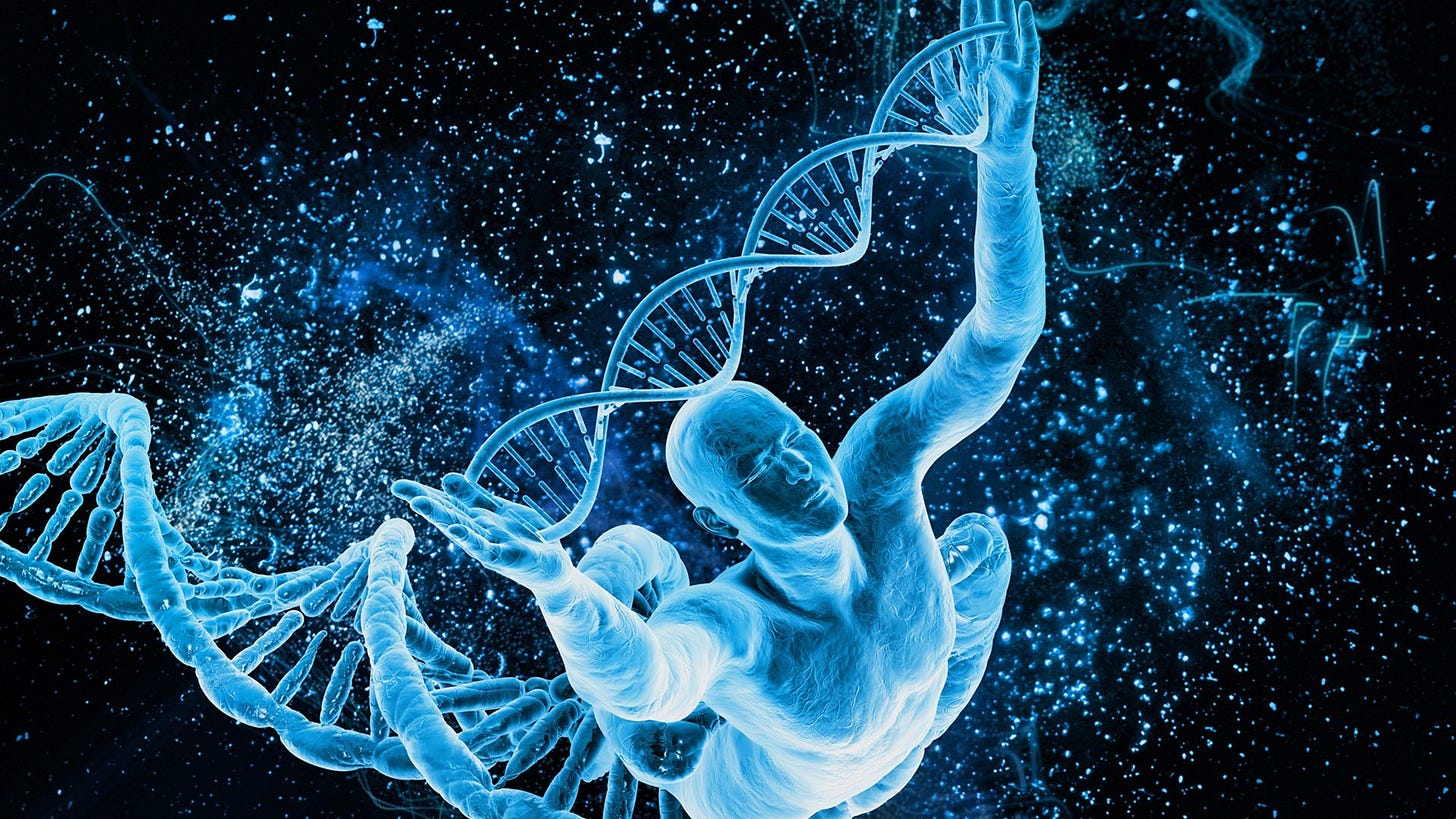 Senior health and longevity effects of PEMF therapy