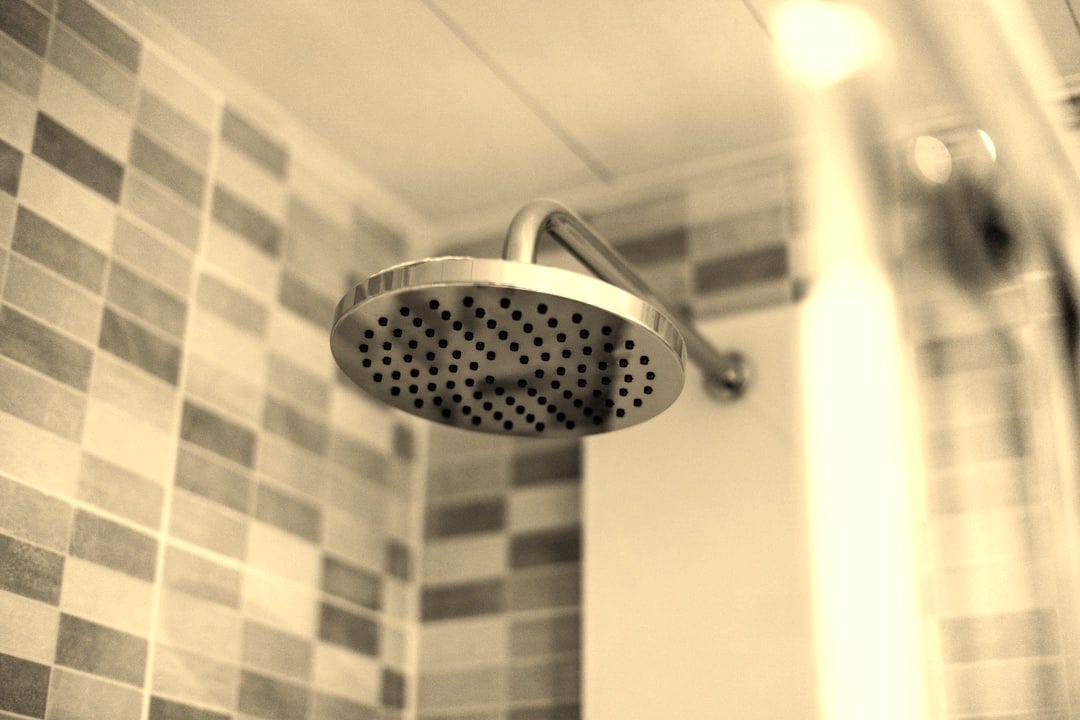 grey stainless steel shower head