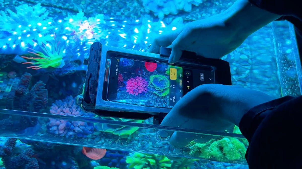 Galaxy S26 Ultra Ocean Mode, explained: underwater photos have never looked better
