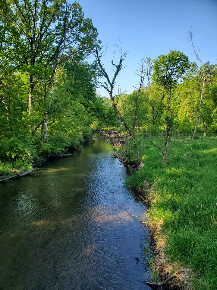 A picture of a stream with obstructions ahead; a second picture of the same stream and the sun is in a different position so the water looks darker or lighter