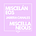 Misceláneos | Miscellaneous