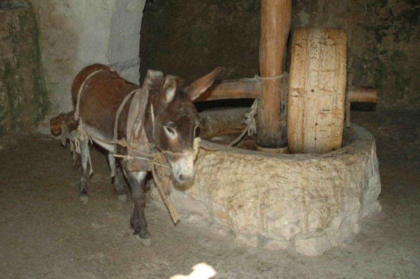 Donkey turning grindstone mill