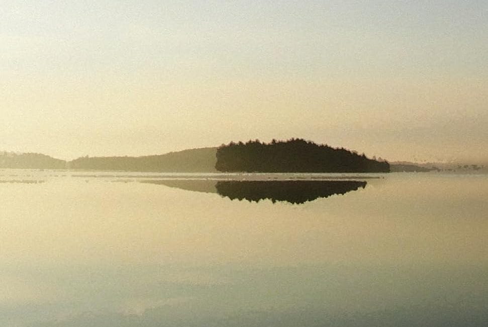 On Hammet Shore by Shelagh Meagher