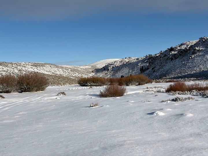 Images of the Red Desert after a spring snowstorm.