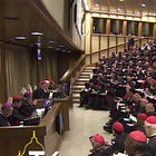 There’s no such thing as ‘synodal’ theology in Catholicism