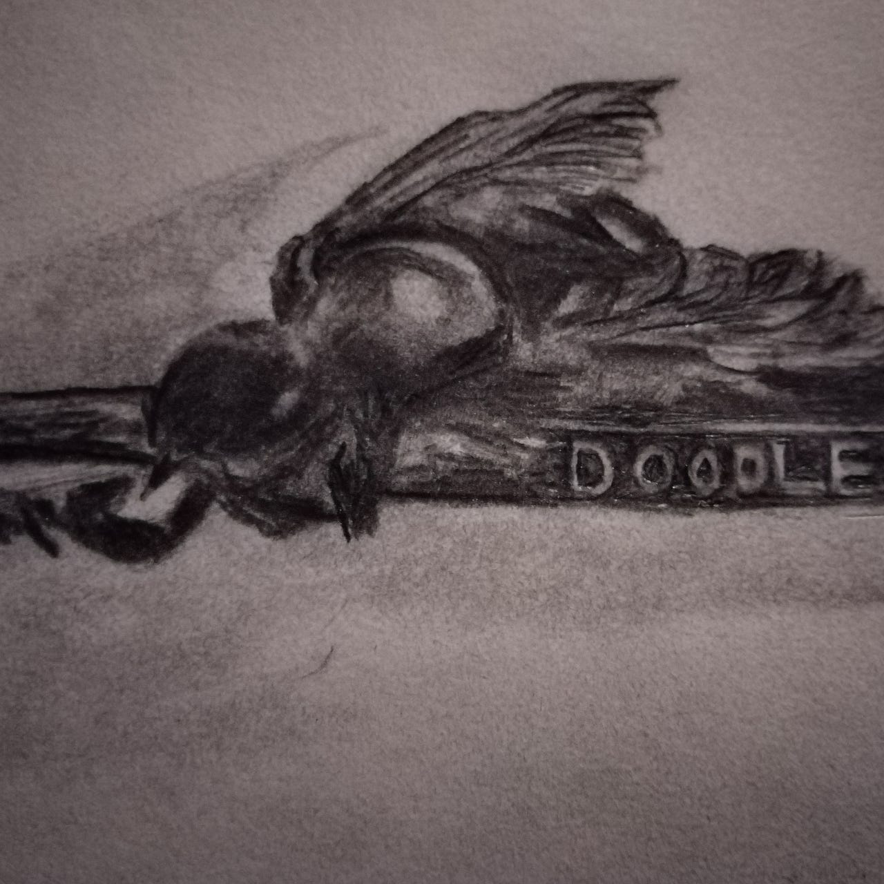 The Doodlebee Sketchbook