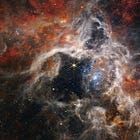 Nuance, Abused: Act I