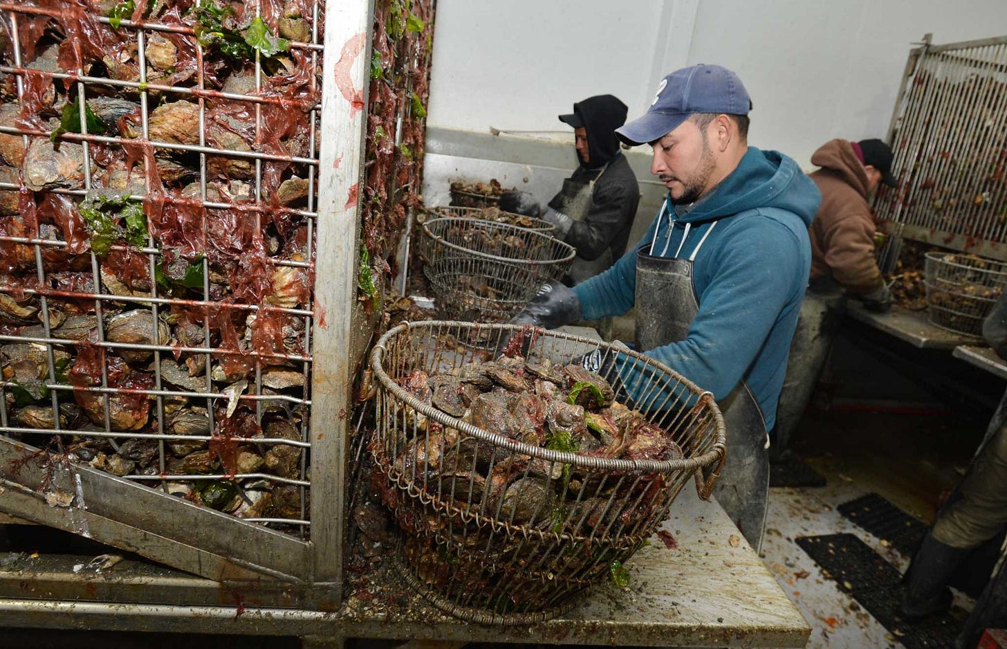 Amid U.S. seafood decline, bushels fuller for CT oyster producers