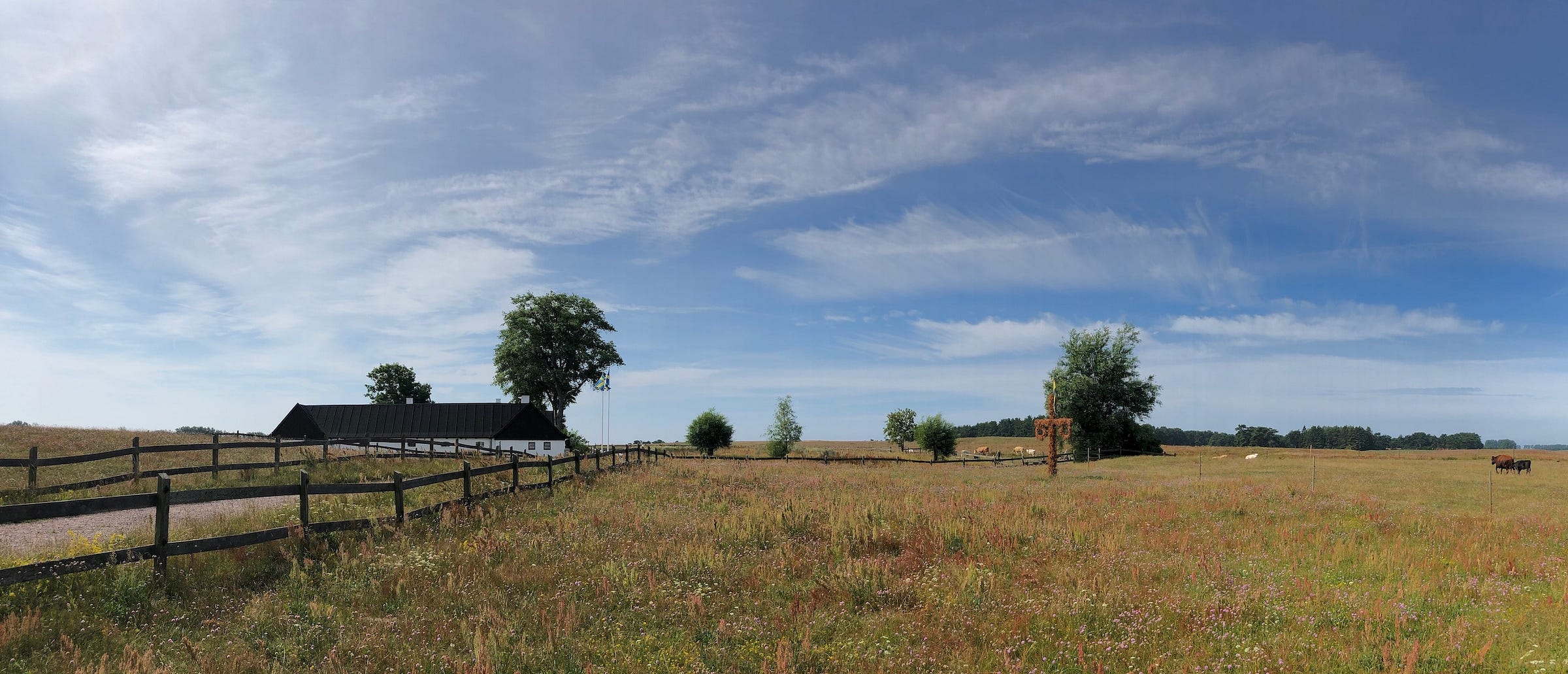 Dry pasture with a farm house