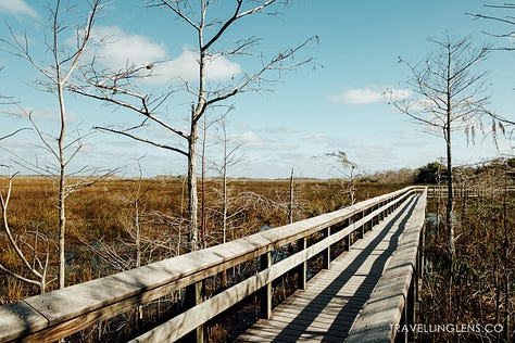 Trails around Everglades National Park