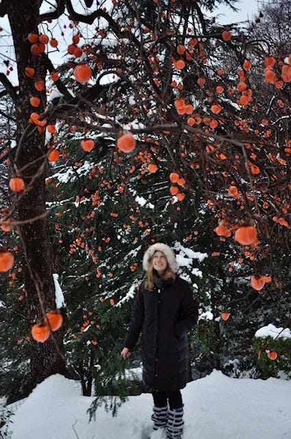 Top L>R: eloping at NYC city hall, digging our dream Italian garden, at the ospedale just born, Como rooftops, persimmon tree in winter, receiving my Itallian citizenship, hiking with Giorgio, teaching yoga at Villa Olmo, eating...again!