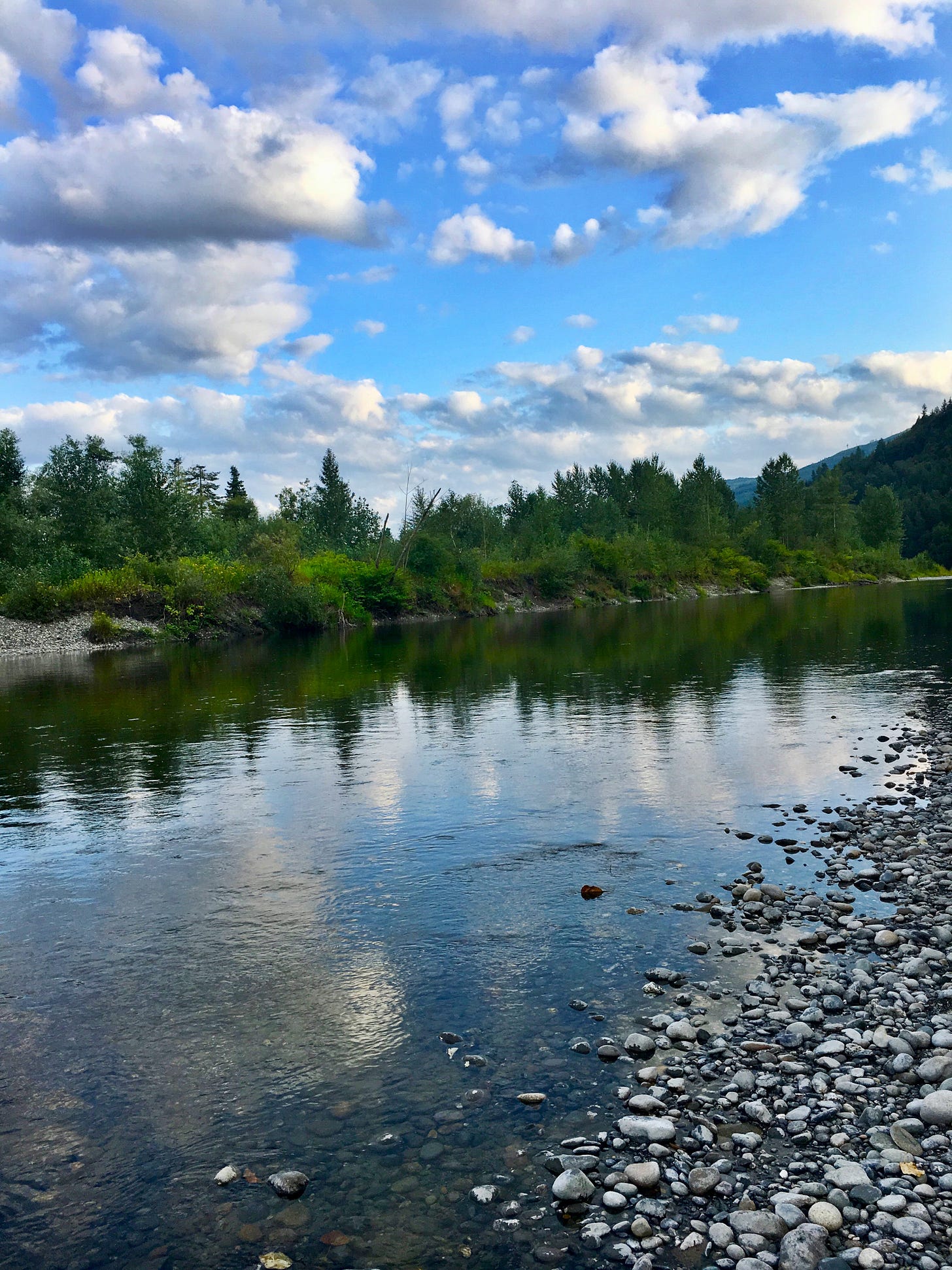 Nooksack River in August. Photo by JPC.