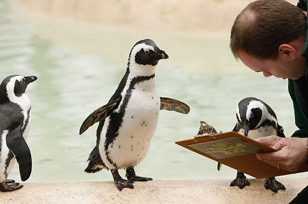 , 50 (More) Viral Images The Web Shared In 2011, The Future Buzz
