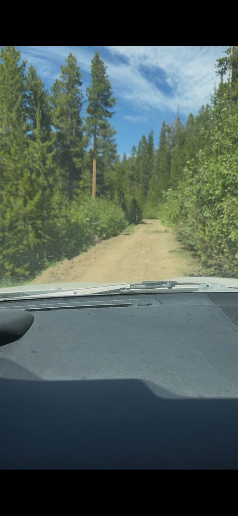 Take the road at the road bend to Horse Creek Pass