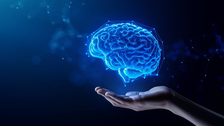mitochondrial dysfunction neurodegeneration