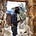 Brijesh Patel's avatar