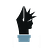 The Archive of Felix Thornfell