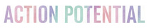 Action Potential