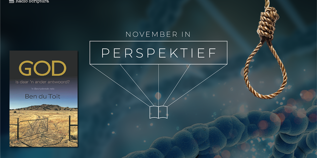 Perspektief: November 2020