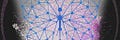 The Blutterfly Effect Project