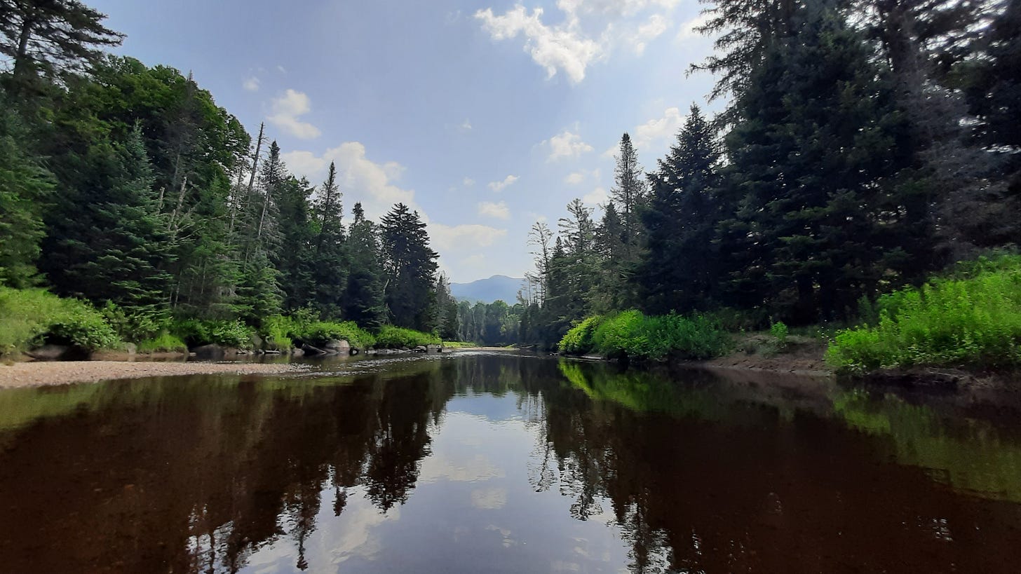 The Ausable River near Wilmington - Justin Levine/Adirondack Council