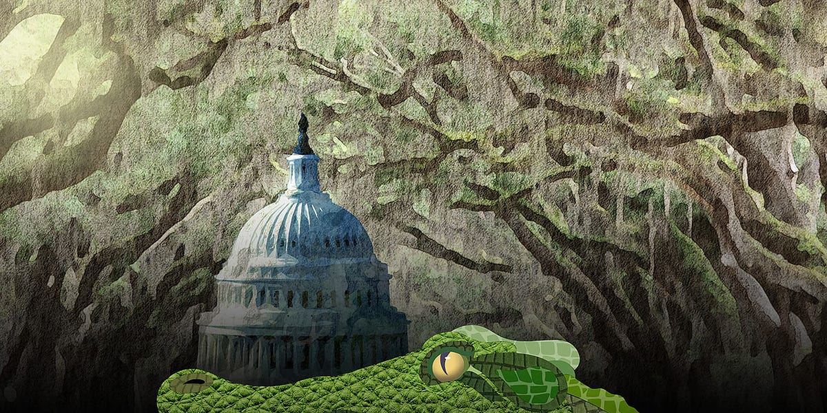 Keep Government Open or Drain the Swamp? Democrats Decide Next Month