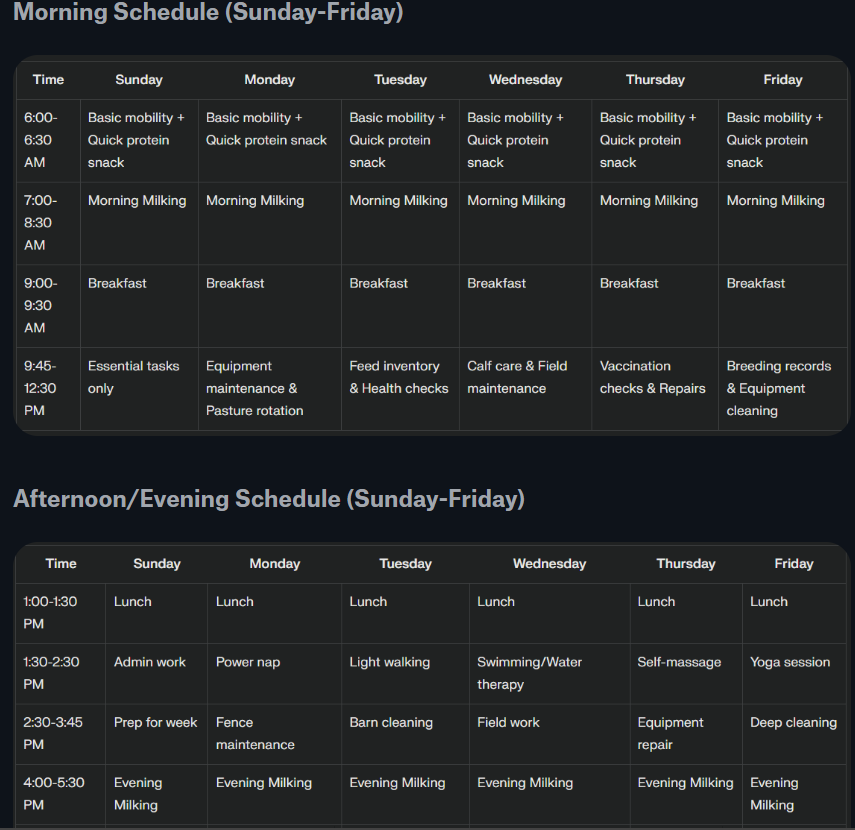 Screenshot of daily routine
