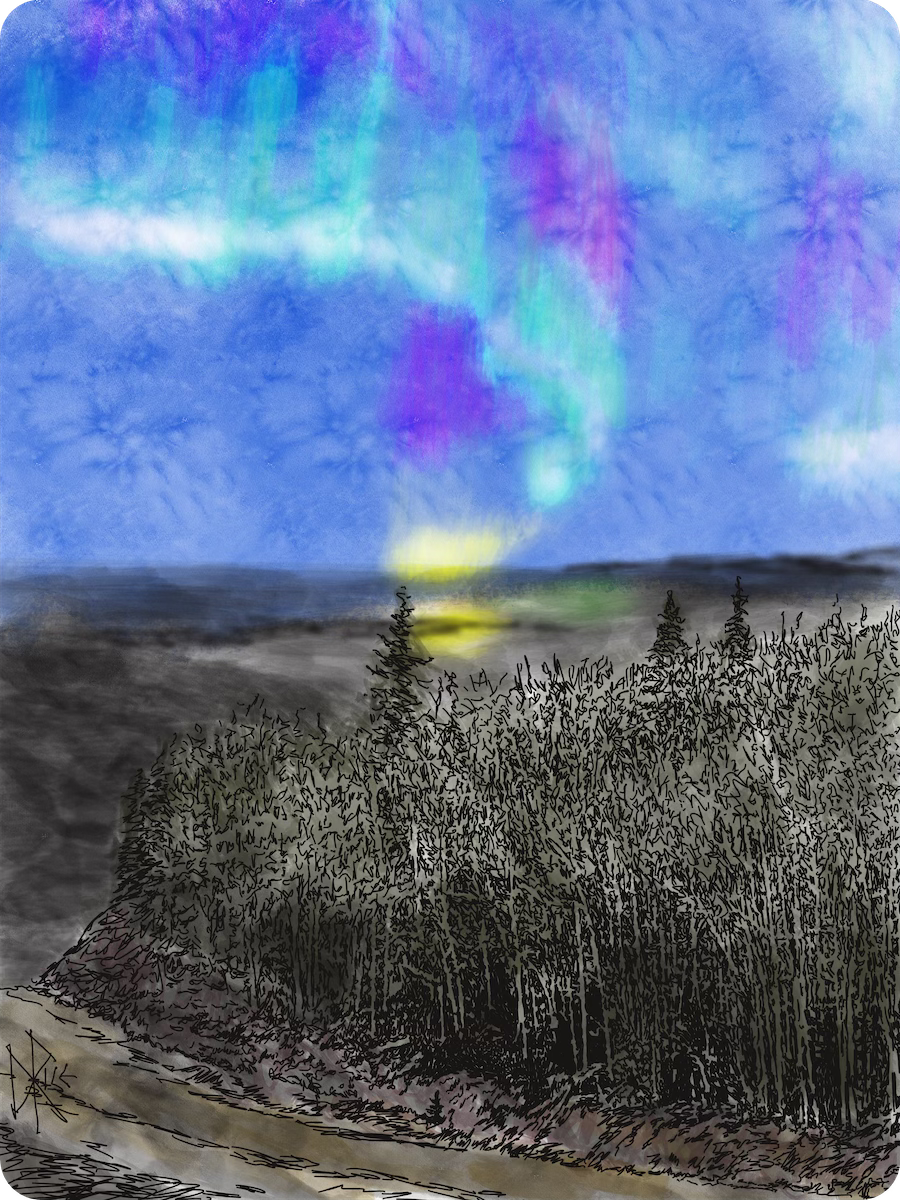 Aurora Borealis above a copse of barren trees and creek feeding into a calm northern lake. Sketch art by Don Rice.