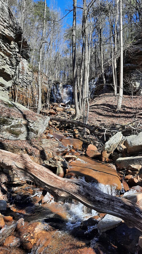 Images of deciduous woods in the wintertime, with no leaves, and icicles around a small waterfall.