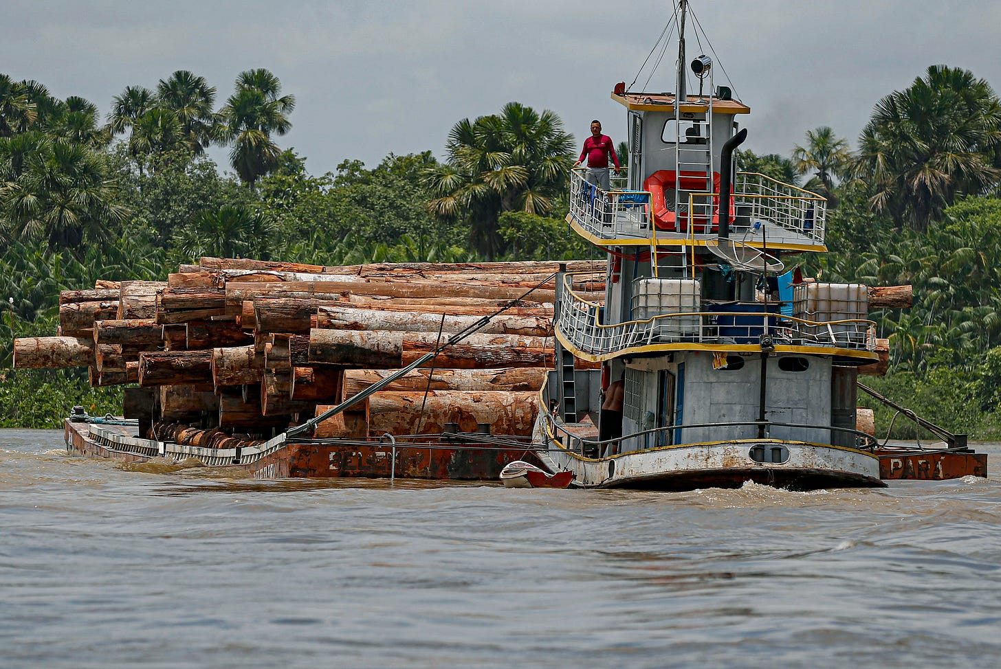 China: A Threat to the Environment and Human Rights in Latin America