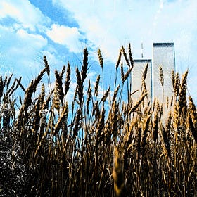 Growing Up 9/11
