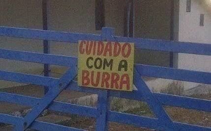 Cuidado com a Burra: Meme surgiu no RN - Brechando