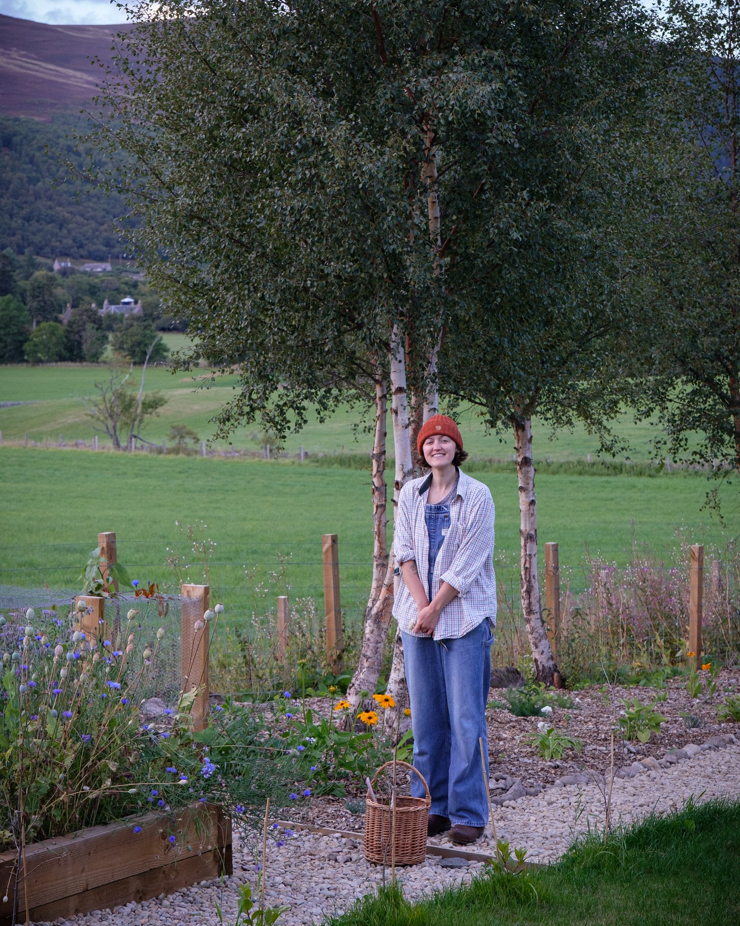 Standing proud in our garden as the colder winds say goodbye to summer,  my partner quietly collects leaves to make a warming morning tea.