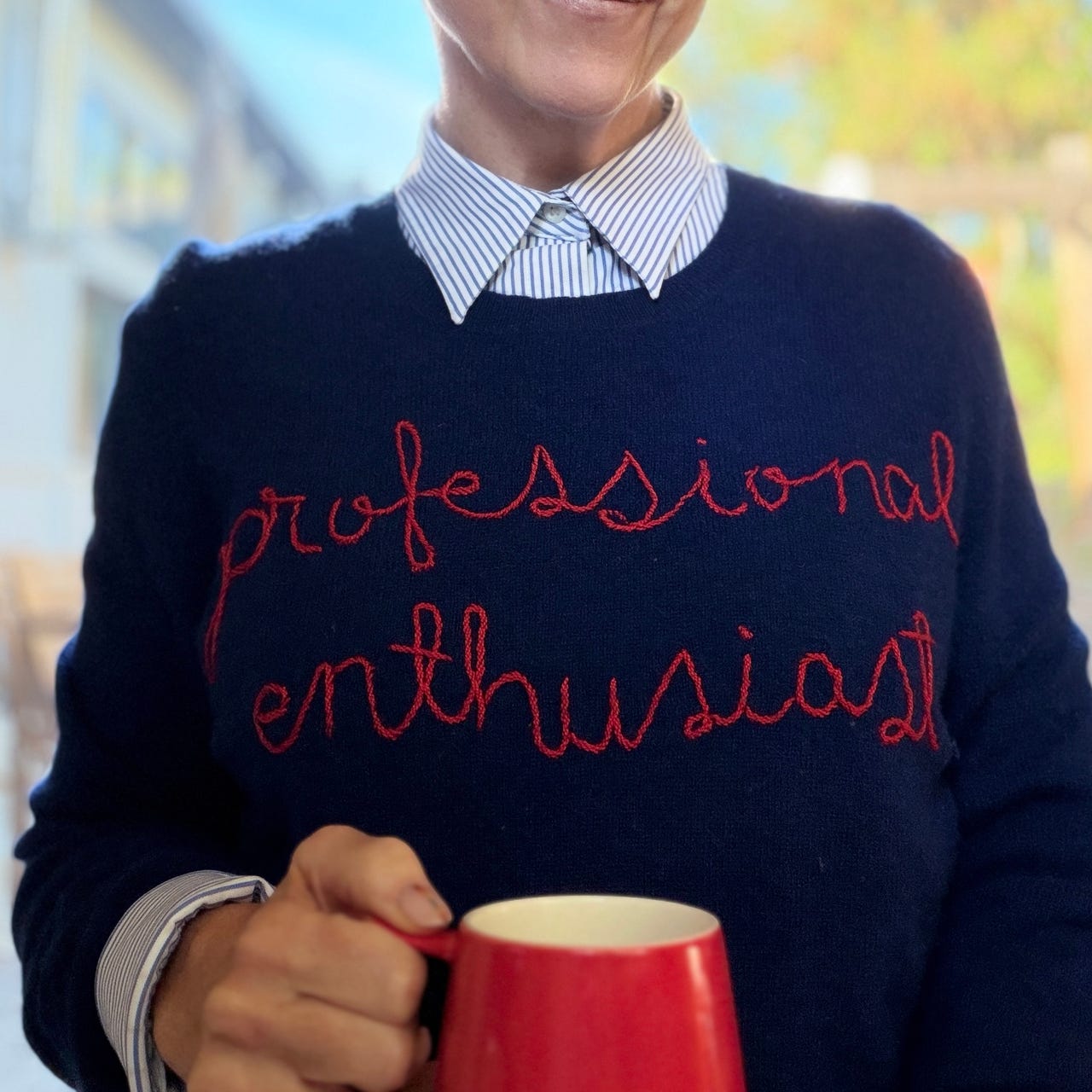 Professional Enthusiast logo
