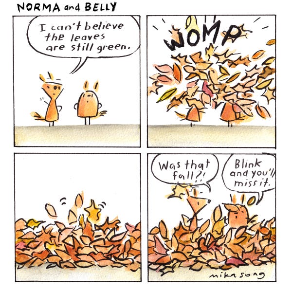 Norma says, “I can’t believe the leaves are still green.” Suddenly a big pile of leaves falls from the sky. Norma and Belly pop out of the pile of leaves. Norma says, “Was that Fall?!” Bellies says, “Blink and you miss it.”