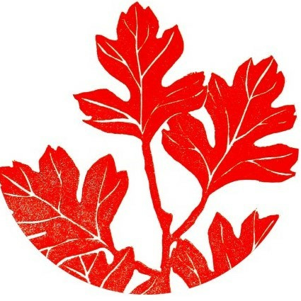 Chelsey Hawkey Prints