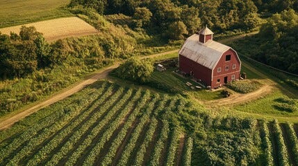 Organic farm insurance, supporting sustainable agriculture