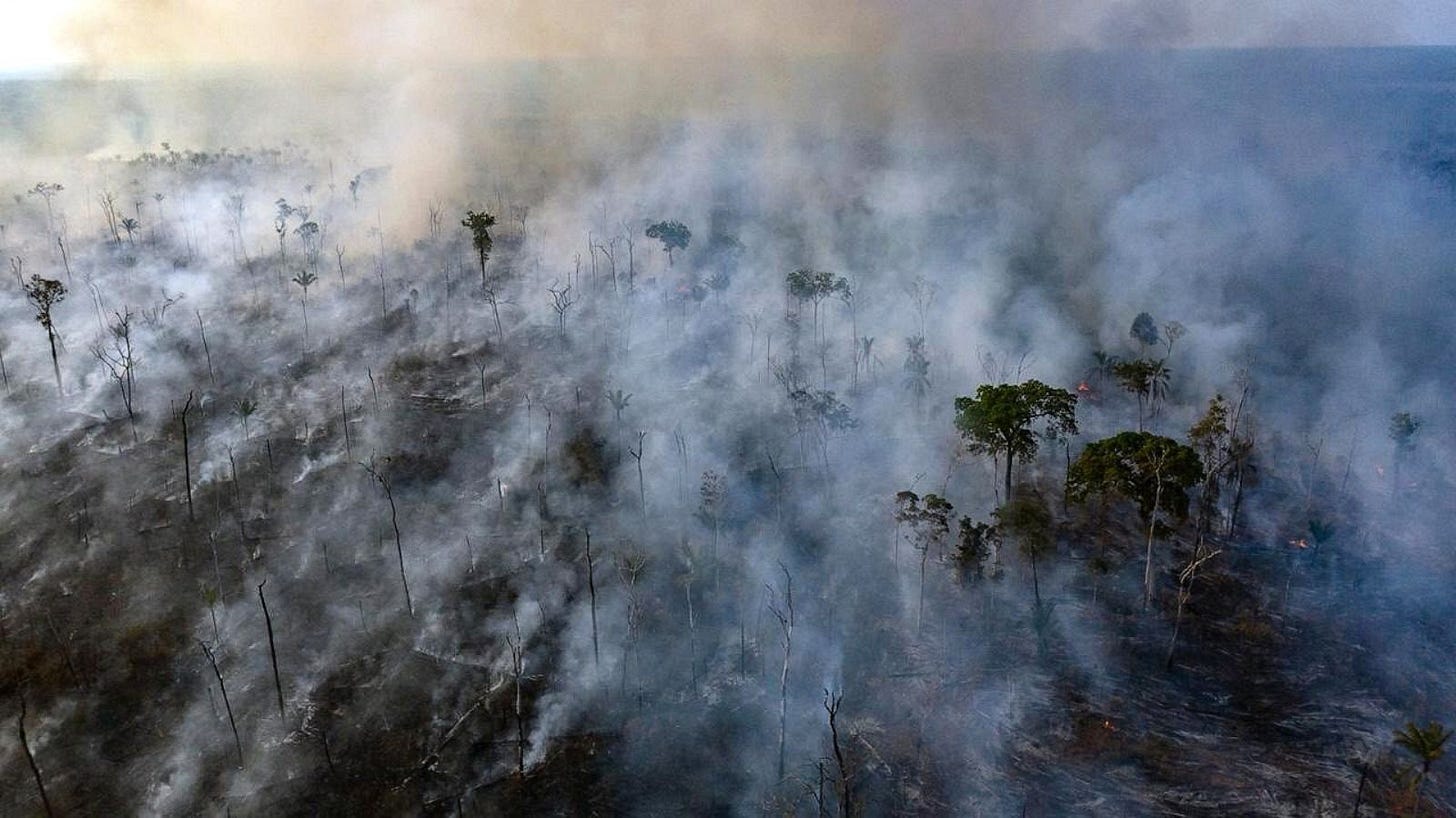 Aerial view of a charred, smoldering Amazon Rainforest.