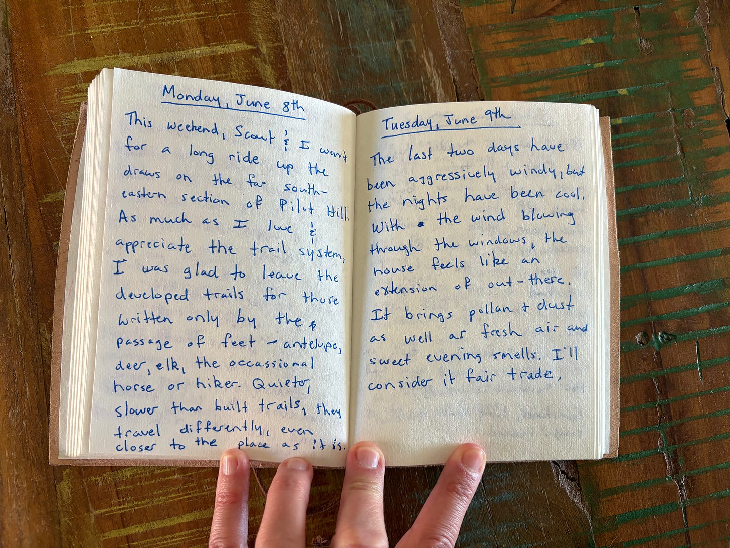 Image of handwritten journal (text transcript below)
