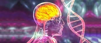 Diseases that Affect Your Nervous System Diseases that Affect Your Nervous System