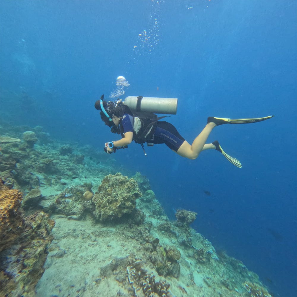 Fotografia submarina de uma pessoa mergulhando com cilindro de oxigênio sobre um recife de coral. A mergulhadora usa roupa de mergulho azul, nadadeiras amarelas e máscara, enquanto nada horizontalmente em águas claras e azul-intensas. O fundo marinho aparece inclinado, com formações rochosas, corais e áreas arenosas espalhadas pelo recife. Pequenas bolhas sobem em direção à superfície. Fotografia submarina de uma pessoa mergulhando com cilindro de oxigênio sobre um recife de coral. A mergulhadora usa roupa de mergulho azul, nadadeiras amarelas e máscara, enquanto nada horizontalmente em águas claras e azul-intensas. O fundo marinho aparece inclinado, com formações rochosas, corais e áreas arenosas espalhadas pelo recife. Pequenas bolhas sobem em direção à superfície.
