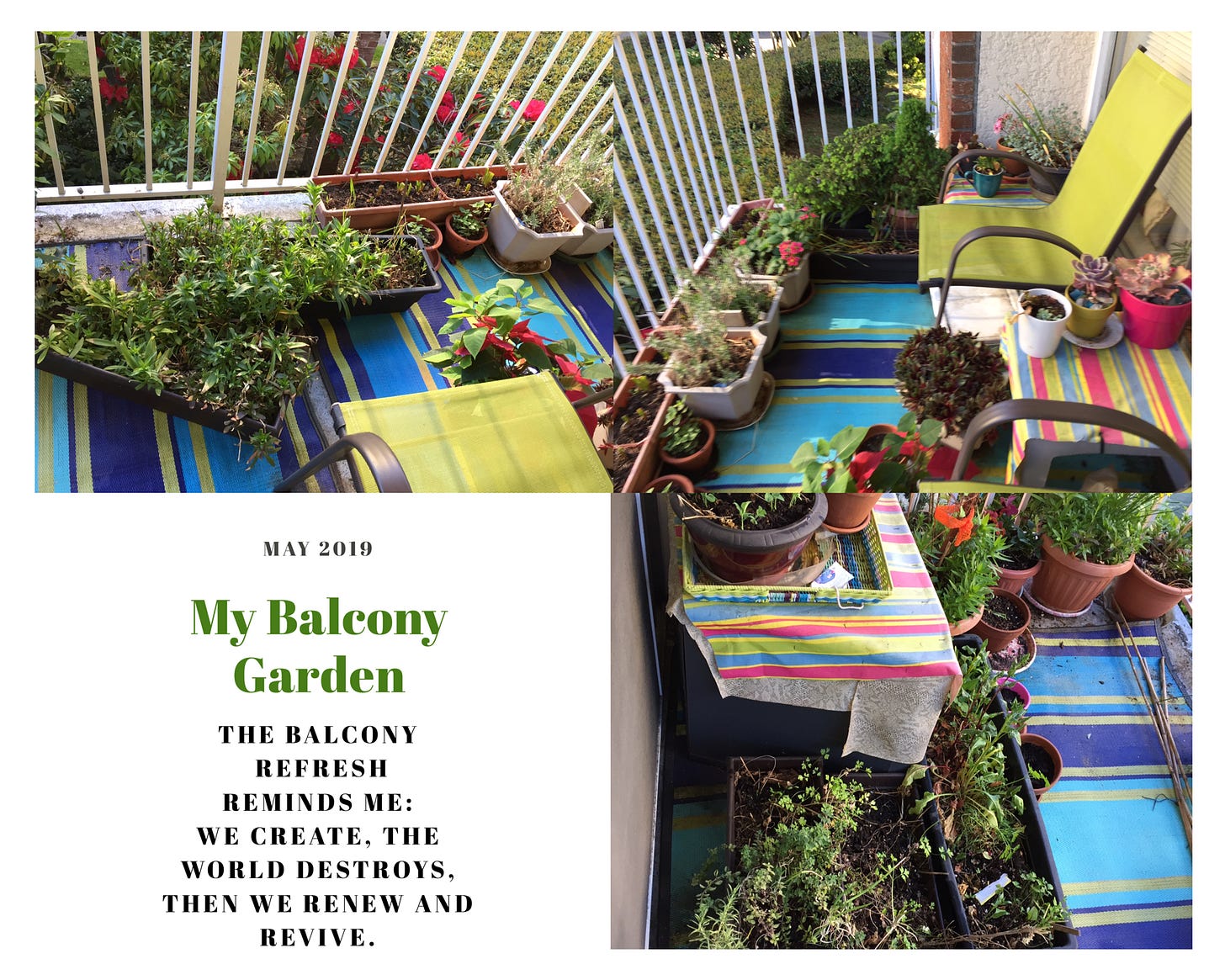 Balcony clean up Balcony clean up