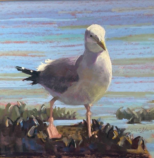 A bird standing on a rock

Description automatically generated