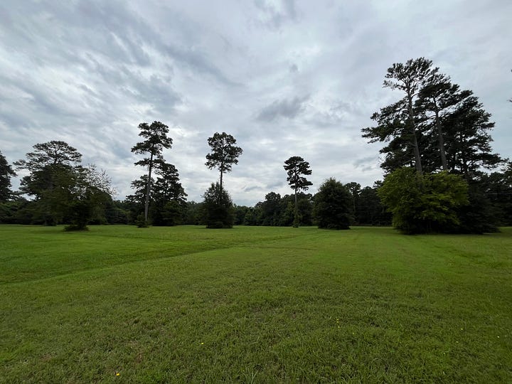 pictures of undeveloped field