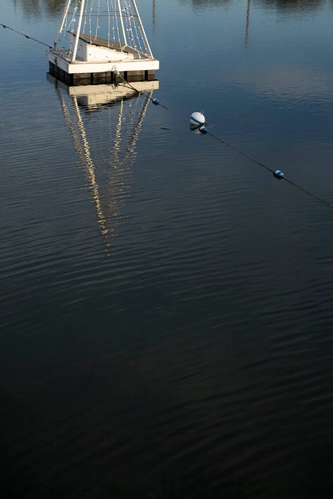 A photo essay made near the Colorado Lagoon in Long Beach, California